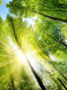 Rückkreislauf und Green bei MaHé Küchen